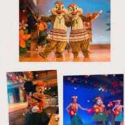 ヒメ日記 2026/03/11 04:32 投稿 まどか 熟女総本店