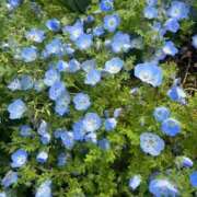 ヒメ日記 2026/04/21 05:02 投稿 まどか 熟女総本店