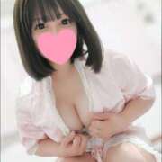 ヒメ日記 2026/02/22 17:03 投稿 べる シルクハット