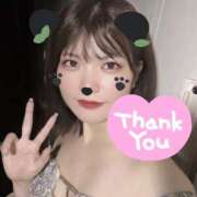 まどか います パイセン