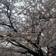 ヒメ日記 2026/04/04 20:33 投稿 あすか【一瞬で距離縮めます♡】 LIPS(リップス)