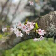 ヒメ日記 2026/04/05 19:20 投稿 深野りりな ゴールドクイーン(雄琴)