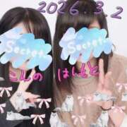 ヒメ日記 2026/03/04 09:06 投稿 橋本　えりか しこたま奥様 札幌店