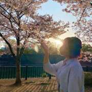 ヒメ日記 2026/03/29 17:07 投稿 よしの 姫コレクション 高崎前橋店