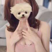 ヒメ日記 2026/02/22 02:37 投稿 みゆ 秘密倶楽部 凛 錦糸町店