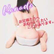 ヒメ日記 2026/02/18 17:00 投稿 かなで みこすり半道場 大阪店