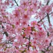 かなで 予定変更⚠️ みこすり半道場 大阪店