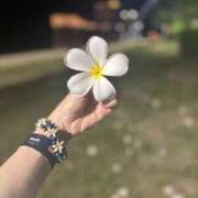 ヒメ日記 2026/02/18 19:15 投稿 みやび☆Aランク未経験 松戸人妻城