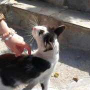 ヒメ日記 2026/03/02 23:15 投稿 みやび☆Aランク未経験 松戸人妻城