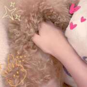 ヒメ日記 2026/02/26 06:30 投稿 ユキコ Ageha(アゲハ)