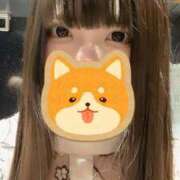 ヒメ日記 2026/03/06 19:44 投稿 かな Minniy