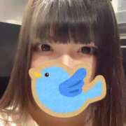 ヒメ日記 2026/03/12 19:47 投稿 かな Minniy