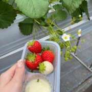 ヒメ日記 2026/02/26 19:43 投稿 カリン マドンナ(仙台)