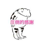 ヒメ日記 2026/03/13 20:50 投稿 くうが THE ESUTE 五反田店