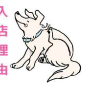 ヒメ日記 2026/03/17 19:10 投稿 くうが THE ESUTE 五反田店