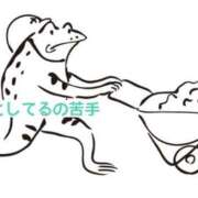 ヒメ日記 2026/03/21 07:20 投稿 くうが THE ESUTE 五反田店