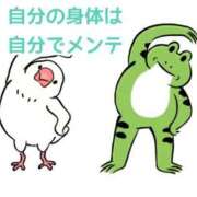 ヒメ日記 2026/03/26 07:20 投稿 くうが THE ESUTE 五反田店