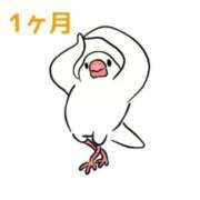 ヒメ日記 2026/03/26 12:20 投稿 くうが THE ESUTE 五反田店