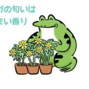 ヒメ日記 2026/04/01 07:20 投稿 くうが THE ESUTE 五反田店