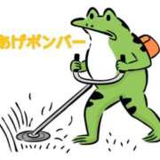 ヒメ日記 2026/04/06 22:01 投稿 くうが THE ESUTE 五反田店