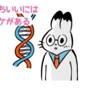 ヒメ日記 2026/04/09 19:11 投稿 くうが THE ESUTE 五反田店
