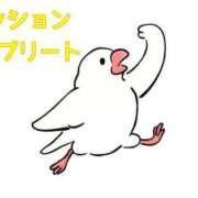 ヒメ日記 2026/04/12 00:10 投稿 くうが THE ESUTE 五反田店
