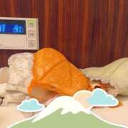 ヒメ日記 2026/04/13 22:50 投稿 くうが THE ESUTE 五反田店