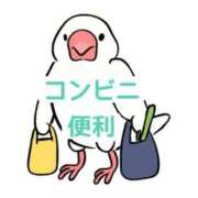 ヒメ日記 2026/04/19 23:10 投稿 くうが THE ESUTE 五反田店
