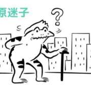 ヒメ日記 2026/05/16 19:20 投稿 くうが THE ESUTE 五反田店