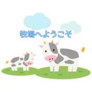 ヒメ日記 2026/06/11 12:24 投稿 くうが THE ESUTE 五反田店