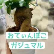 ヒメ日記 2026/08/06 12:21 投稿 くうが THE ESUTE 五反田店