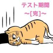 ヒメ日記 2026/02/27 19:20 投稿 くうが THE ESUTE 渋谷