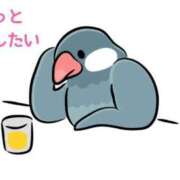 ヒメ日記 2026/03/02 19:07 投稿 くうが THE ESUTE 渋谷