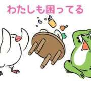 ヒメ日記 2026/03/19 19:07 投稿 くうが THE ESUTE 渋谷