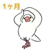 ヒメ日記 2026/03/26 12:07 投稿 くうが THE ESUTE 渋谷