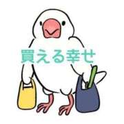 ヒメ日記 2026/03/30 07:17 投稿 くうが THE ESUTE 渋谷