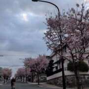 ヒメ日記 2026/03/25 08:06 投稿 綾波瑞希 CLARA（クララ）