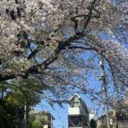 綾波瑞希 4/6(木) CLARA（クララ）