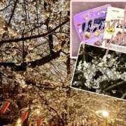 ヒメ日記 2026/03/24 23:22 投稿 市村こはく 麗しいマダム