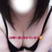 ヒメ日記 2026/02/21 19:51 投稿 ちゃむ 宮城仙南ちゃんこ