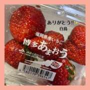 ヒメ日記 2026/03/01 10:06 投稿 白鳥 モアグループ所沢人妻城