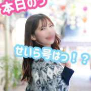 ヒメ日記 2026/04/26 12:00 投稿 せいら 電車ごっこ