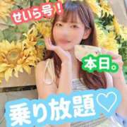 ヒメ日記 2026/09/13 13:00 投稿 せいら 電車ごっこ