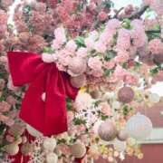 しき はじめまして❣️ アラモード