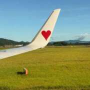 ヒメ日記 2026/02/22 15:45 投稿 しき アラモード