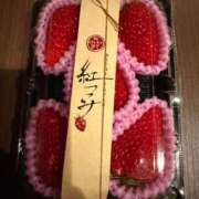 ヒメ日記 2026/03/20 16:07 投稿 しき アラモード