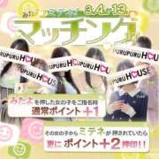 ヒメ日記 2026/03/04 21:21 投稿 遠藤 くみ プルプルハウス