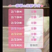 ヒメ日記 2026/02/18 12:01 投稿 りりむ ドリーム水戸