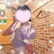 高畑　あい 制服にゃんこかと、、？ メイドin横浜（横浜ハレ系）