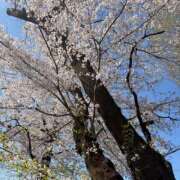 ゆね お花見 バイオレンス